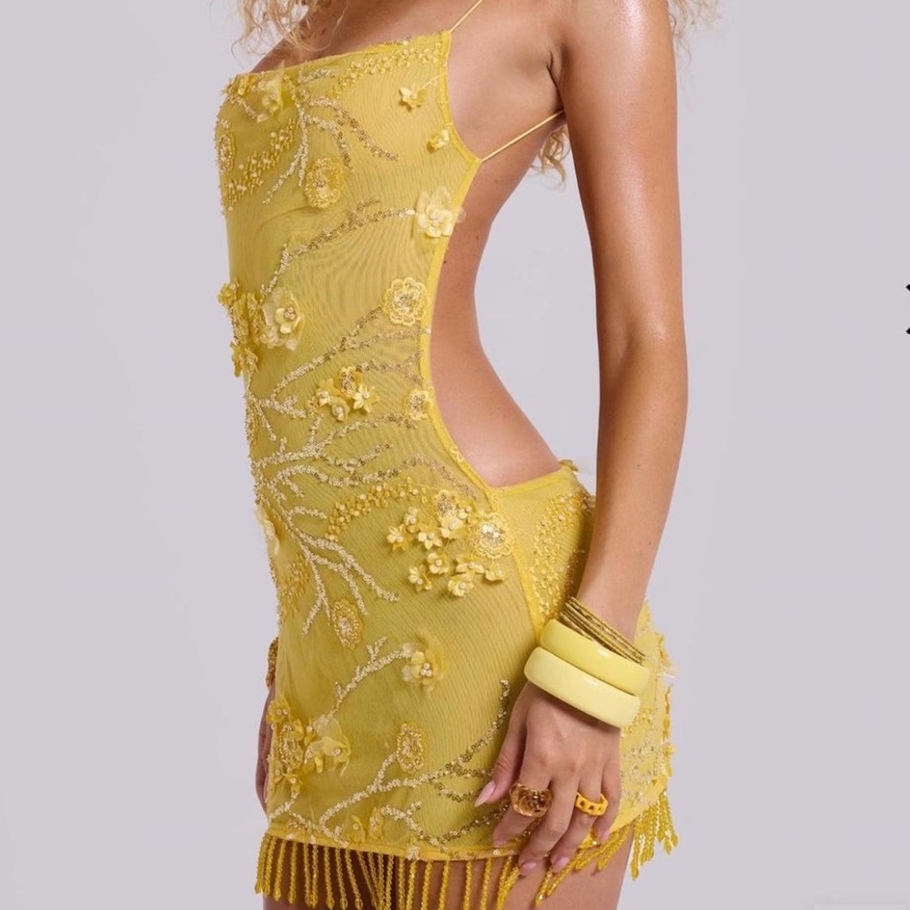 Jaded London Ellora Embellished Mini Dress